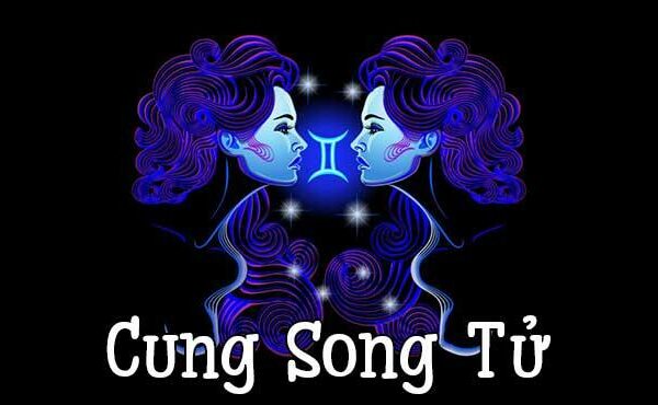 Người sinh 14 tháng 6 thuộc cung hoàng đạo gì?