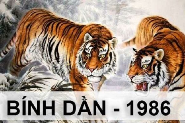 Sinh năm 1986 mệnh gì? Hợp màu gì? Hợp vớI ai?