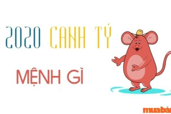 Canh Tý 2020 Mệnh Gì? Tất Tần Tật Tử Vi Của Em Bé Sinh Năm 2020