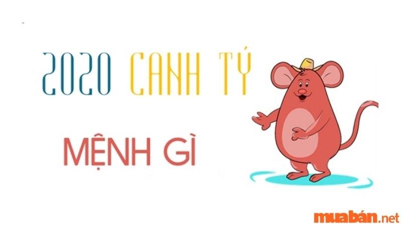 Canh Tý 2020 Mệnh Gì? Tất Tần Tật Tử Vi Của Em Bé Sinh Năm 2020