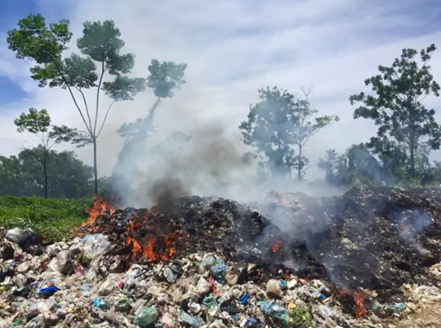 Môi trường sống ô nhiễm có thể là nguyên nhân dẫn đến bị ghẻ nước