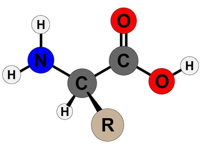 Amino Axit Là Gì? Tính Chất Hóa Học, Công Thức Cấu Tạo & Bài Tập