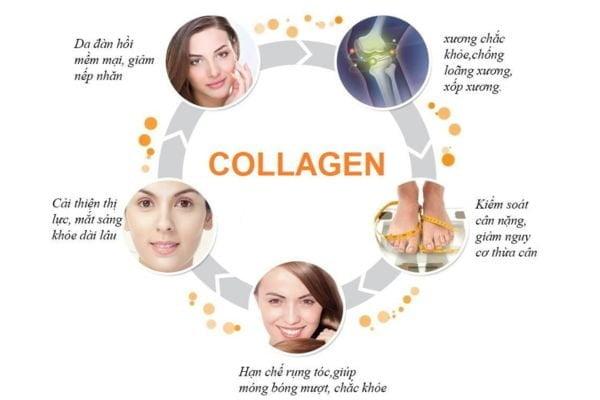 Bao nhiêu tuổi uống collagen được? Cách uống cho từng độ tuổi