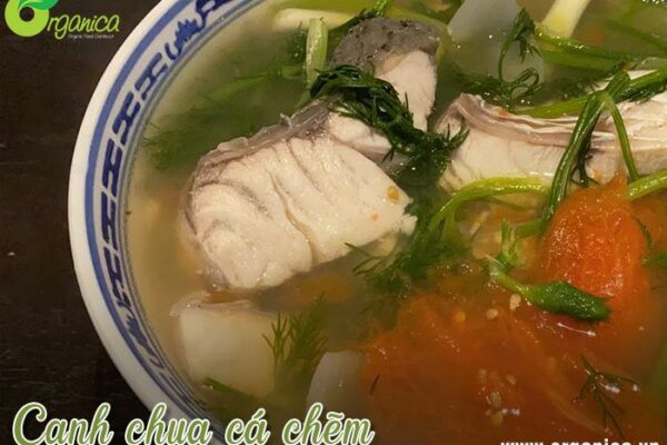 Cá chẽm làm gì ngon? Công thức 9 món ngon từ cá chẽm dễ chế biến, siêu bổ dưỡng