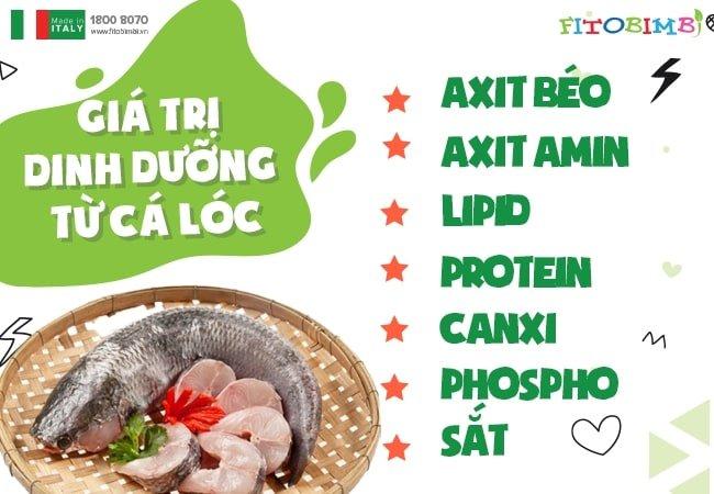 11 cách nấu cháo cá lóc cho bé, đơn giản mà lại bổ dưỡng