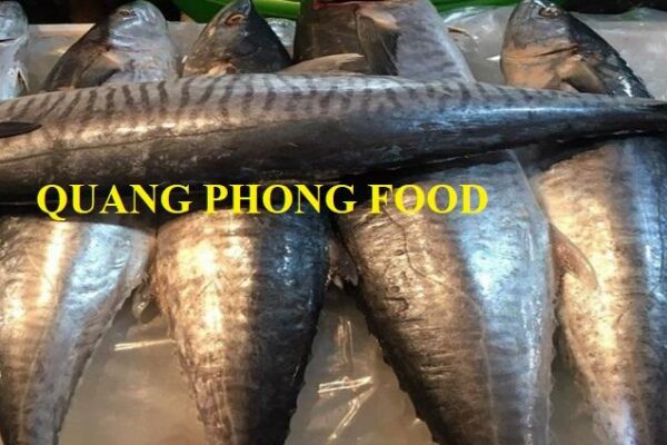 Đặc điểm Cá Thu và 25 Cách chế biến ngon nhất