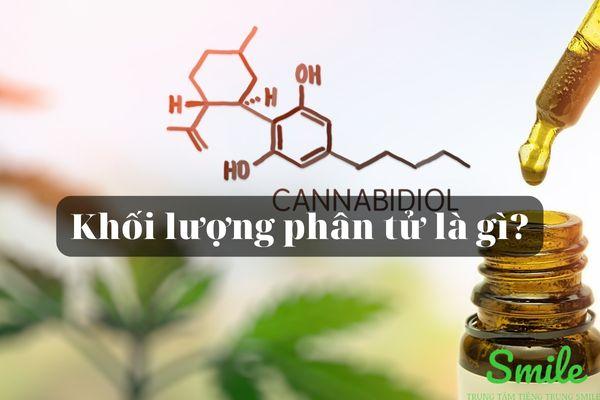 Khối lượng phân tử là gì? Cách tính khối lượng phân tử