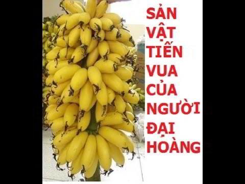 Dac-san-chuoi-ngu-tien-vua | tim-hieu-lang-vu-dai