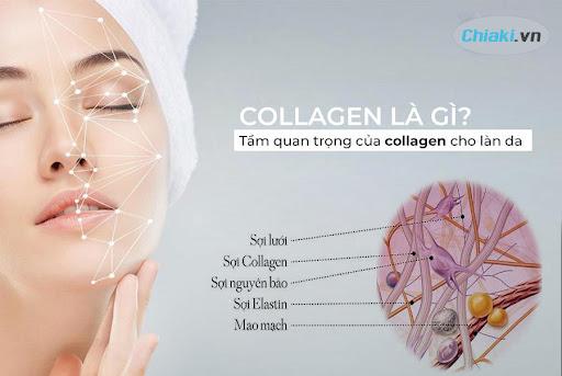 Collagen loại nào tốt? Review Top 11 viên uống Collagen tốt nhất 2023