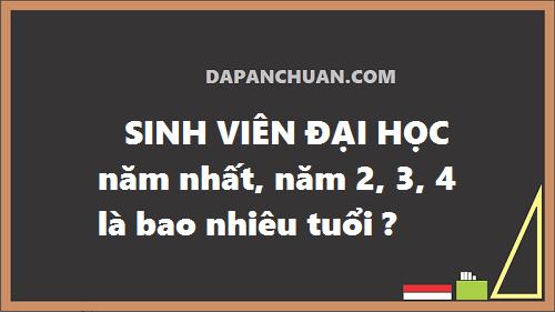 Sinh viên đại học năm nhất, năm 2, 3, 4 là bao nhiêu tuổi ?