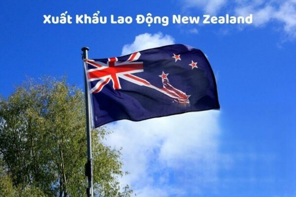 Xuất Khẩu Lao Động New Zealand 2023 – Tất Tần Tật Từ A – Z