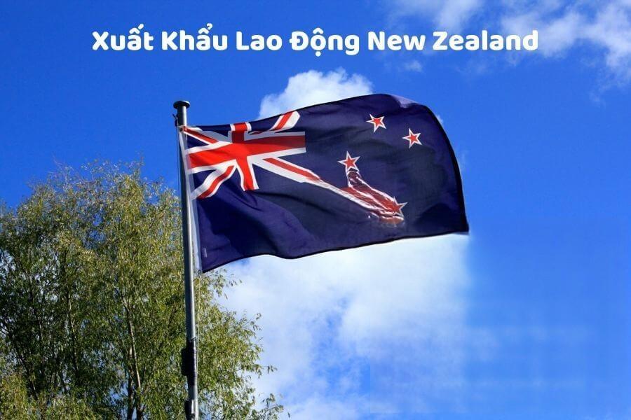 Xuất Khẩu Lao Động New Zealand 2023 – Tất Tần Tật Từ A – Z