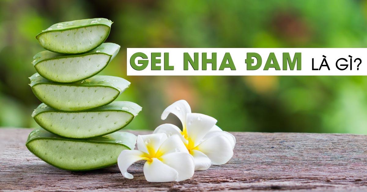 Gel nha đam là gì? 10 công dụng của gel nha đam nguyên chất