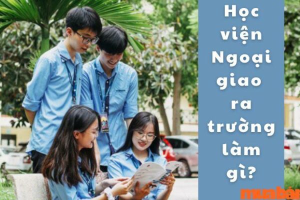 Học Tại Học Viện Ngoại Giao Ra Trường Làm Gì? Thu Nhập Có Cao Không?