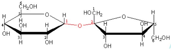 Công Thức Hóa Học Của Đường Saccharose, Glucose, Fructose