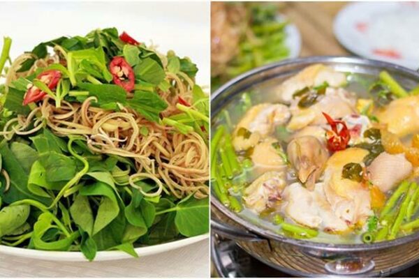 Lẩu gà ăn với rau gì ngon nhất? Lưu ý tuyệt đối không ăn 2 loại rau này