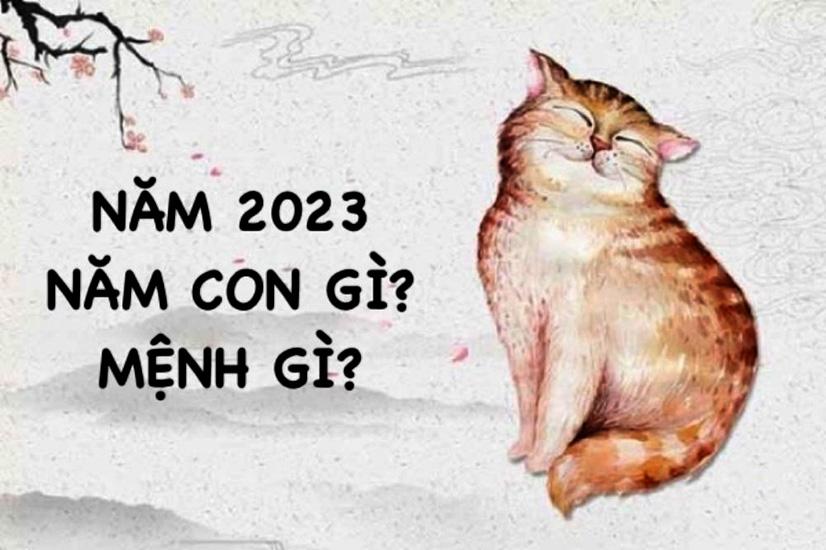 Năm 2023 là năm con gì, mệnh gì, hợp tuổi nào?