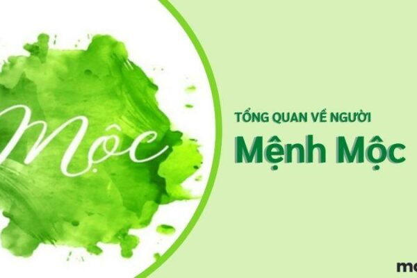 Mệnh Mộc hợp mệnh gì, khắc mệnh gì? Hợp tuổi nào để làm ăn thuận lợi