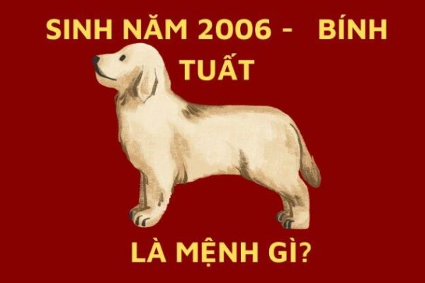 Bính Tuất 2006 thuộc mệnh gì? Hợp màu gì, tuổi nào?