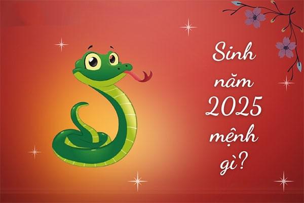 Sinh năm 2025 tuổi gì, mệnh gì và hợp màu gì