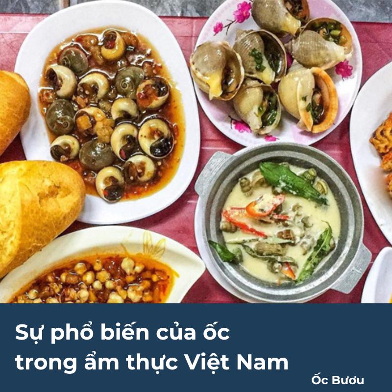 Nên ăn ốc đầu tháng hay cuối tháng? Ăn ốc lúc nào thì không có con? - Ốc Bươu - Khám Phá Thế Giới Ốc, Hướng Dẫn Chế Biến Những Món Ăn Ngon Từ Ốc