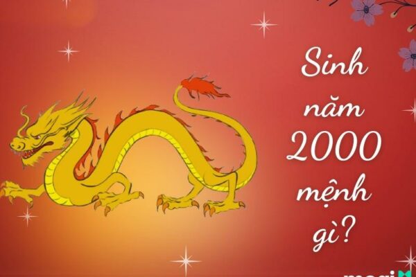 Sinh năm 2000 mệnh gì? Tuổi Canh Thìn hợp tuổi nào, màu nào?