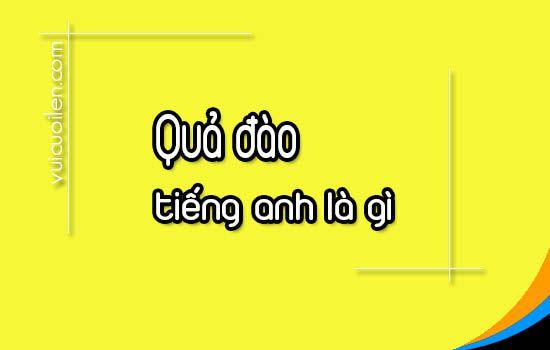 Quả đào tiếng anh là gì và đọc như thế nào cho đúng