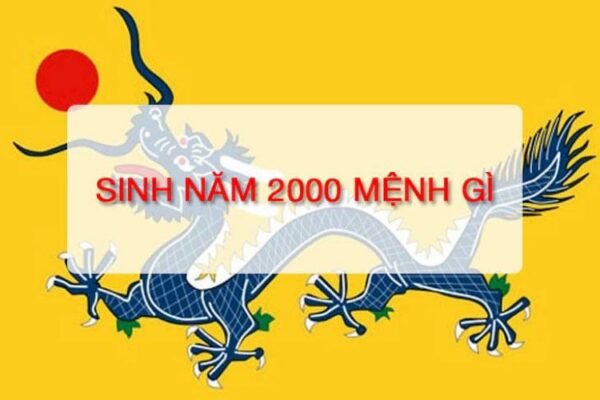 Sinh Năm 2000 Bao Nhiêu Tuổi 2022 ? Mệnh Gì ? Hợp Màu Gì ?