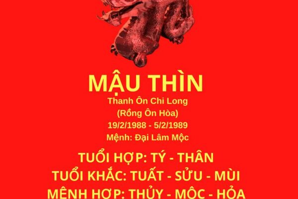 Sinh năm 1988 mệnh gì? Tuổi Mậu Thìn hợp tuổi nào & Màu gì?