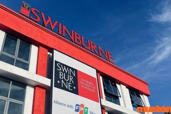 Trường Đại học Swinburne học phí bao nhiêu năm 2023 – 2024?