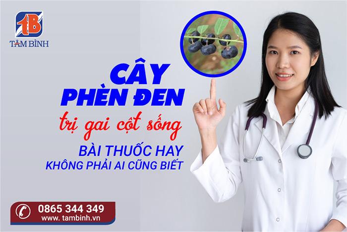 Cây phèn đen trị gai cột sống – Bài thuốc hay không phải ai cũng biết