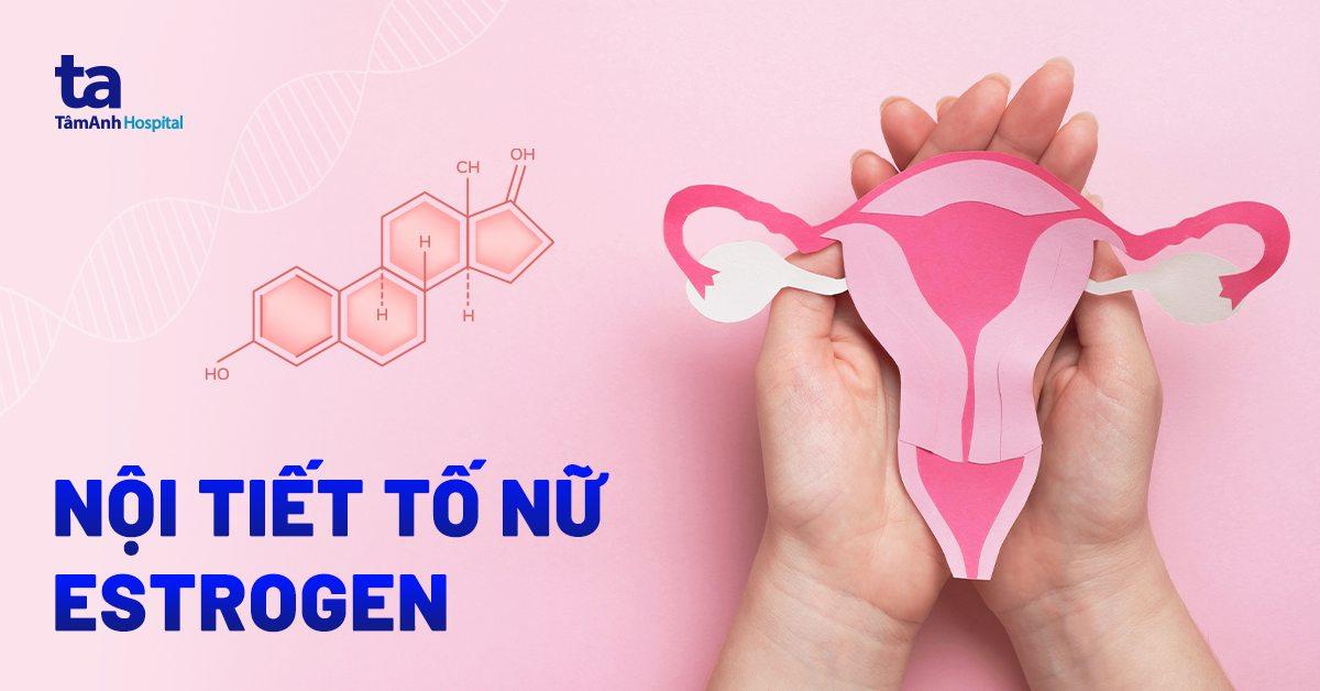 Hormone Estrogen là gì? Có tác dụng gì? Có bao nhiêu loại?