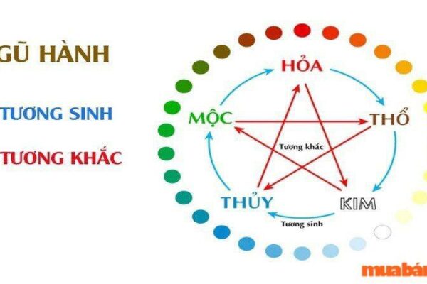 Nhâm Dần 2022 mệnh gì? Tất tần tật tử vi em bé sinh năm 2022