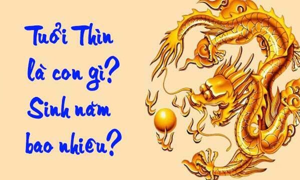 Người Tuổi Thìn Sinh Năm Bao Nhiêu? Là Con Gì?