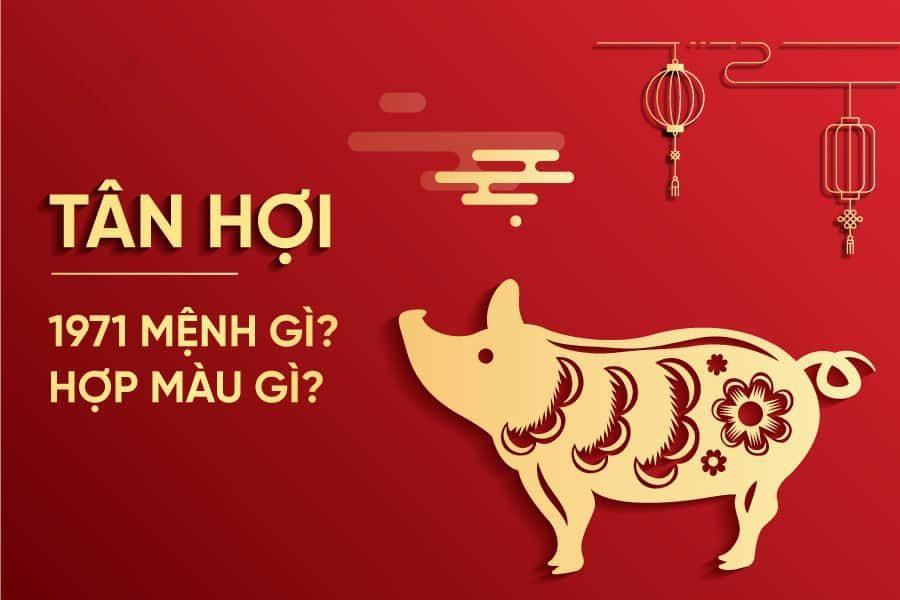 [Update] Sinh năm 1971 Mệnh gì? Tuổi Tân Hợi hợp Tuổi nào & Màu gì?