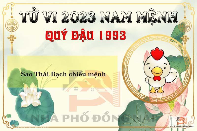 Xem Tử Vi Tuổi Quý Dậu 1993 Năm 2023 Nam Mạng