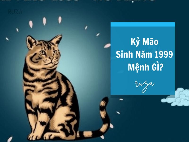 Tuổi Kỷ Mão 1999 Mệnh Gì? Hợp Với Tuổi Gì, Hợp Màu Gì?