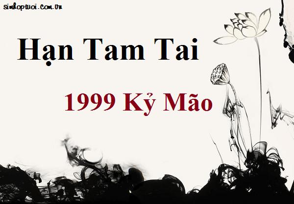 Tuổi 1999 tam tai năm nào? Năm tam tai của 1999 nào nặng nhất?