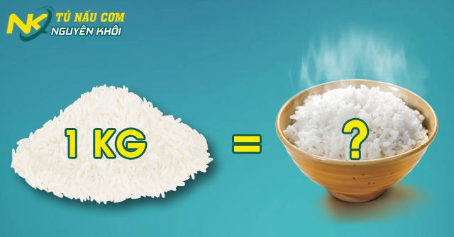 1kg gạo nấu được bao nhiêu chén cơm là chuẩn nhất?