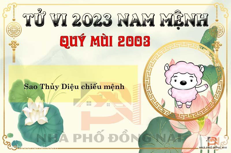 Xem Tử Vi Tuổi Quý Mùi 2003 Năm 2023 Nam Mạng