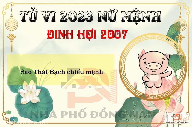 Xem Tử Vi Tuổi Đinh Hợi 2007 Năm 2023 Nữ Mạng