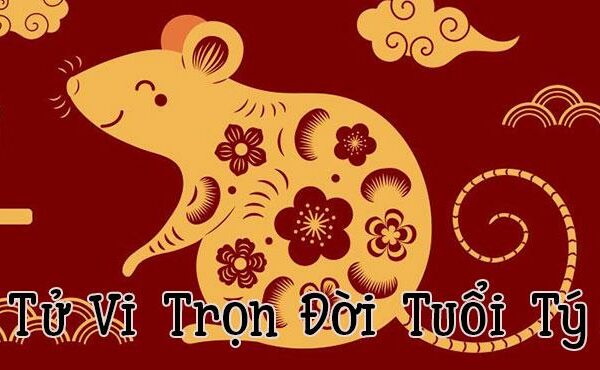 Sinh năm 2008 năm 2022 bao nhiêu tuổi?