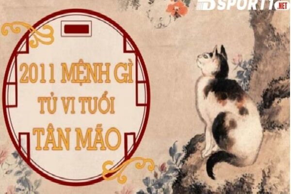 Giải Đáp 2k11 Mấy Tuổi, Học Lớp Mấy? Giải Mã Tử Vi 2k11 Giải Đáp 2k11 Mấy Tuổi, Học Lớp Mấy? Giải Mã Tử Vi 2k11