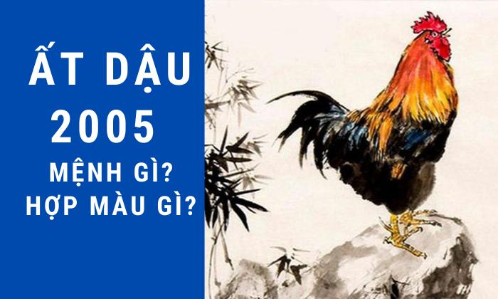 Sinh năm 2005 mệnh gì? Tuổi Ất Dậu Hợp tuổi nào & Màu gì?