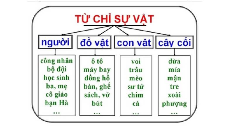 Từ chỉ sự vật là gì? Đặc điểm của Từ chỉ sự vật khi học tiếng việt lớp 2