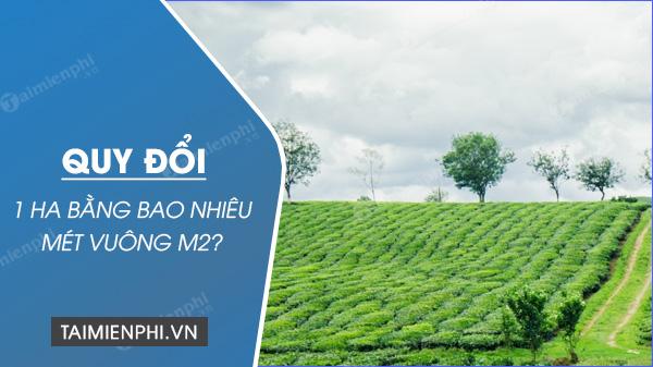 Quy đổi 1 ha bằng bao nhiêu m2