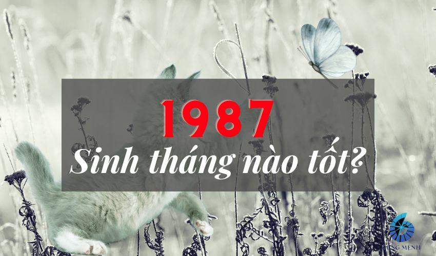 Đinh Mão 1987 năm nay bao nhiêu tuổi? Sinh ngày nào tốt?