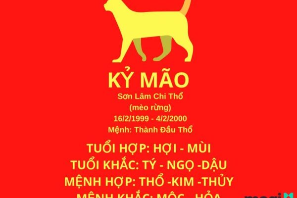 1999 Mệnh Gì? Tuổi Kỹ Mão Hợp Tuổi Nào Và Màu Nào Để Ăn Nên Làm Ra