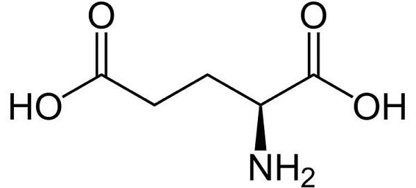 Axit glutamic – Công dụng và những điều cần lưu ý khi dùng