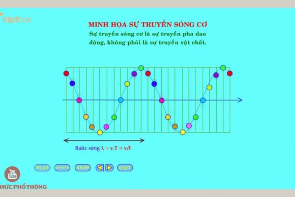 Sóng cơ là gì, phân loại, công thức tính bước sóng và bài tập Sóng cơ là gì, phân loại, công thức tính bước sóng và bài tập